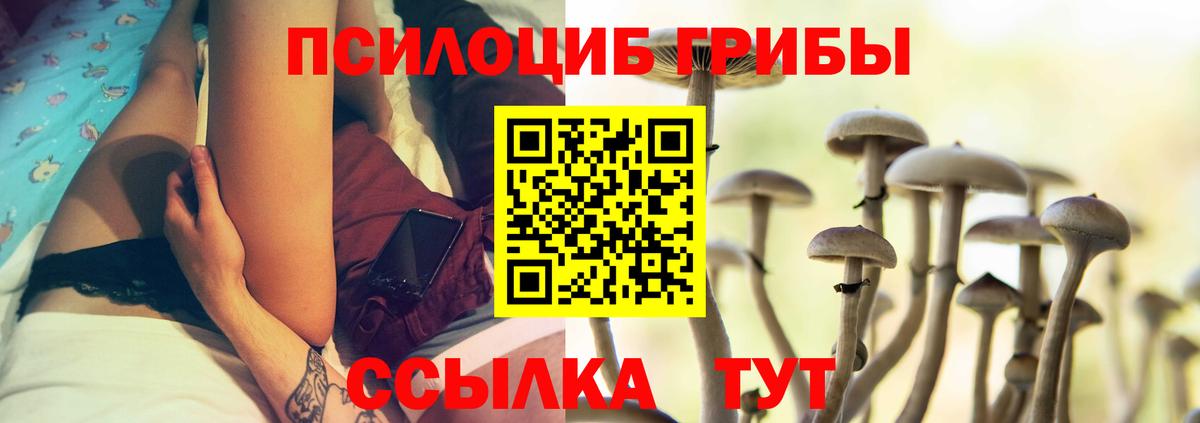 Псилоцибиновые грибы прущие грибы Сочи